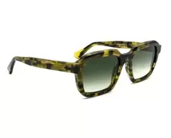 6026-L.G.R-FOR-DVF-RAFFAELLO-HAVANA-GREEN-BOTTLE-GREEN-GRADIENT-PHOTOCHROMIC-2-768x583