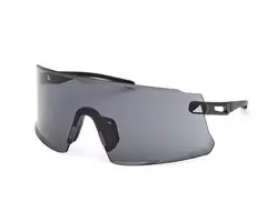 SP0100