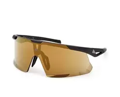 SP0106 braun