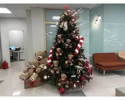 medstandart, Иркутск -2025 (4)