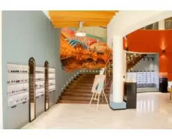 Зрение, СПб (3)