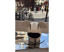 GM_Paris_2026S (9)