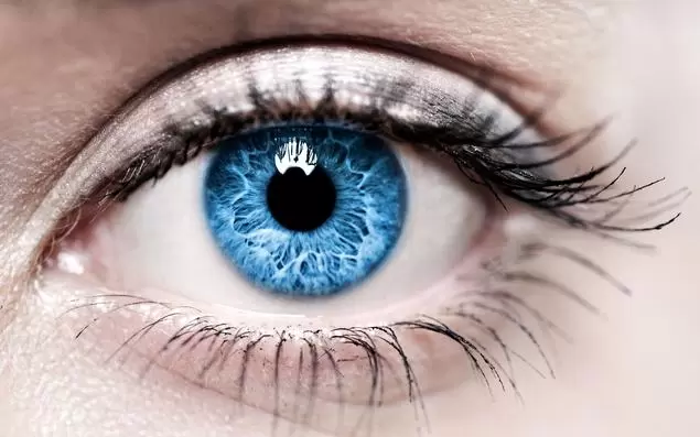В США разрешили использовать генный препарат для восстановления зрения